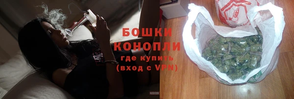ПСИЛОЦИБИНОВЫЕ ГРИБЫ Корсаков