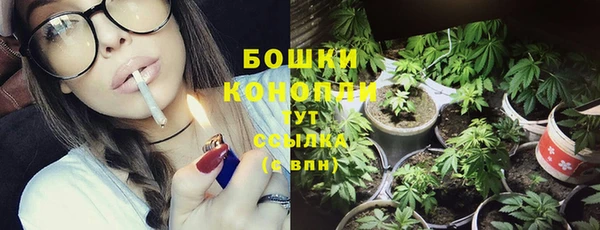 Альфа ПВП Костерёво
