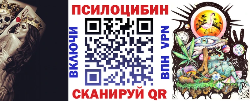 Галлюциногенные грибы Psilocybe  Купить закладки  Среднеколымск 